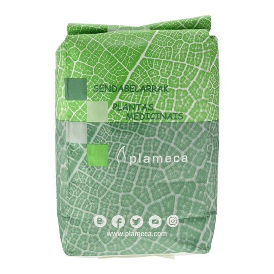 Plameca Eucalipto Hierba Hoja Triturada 1Kg