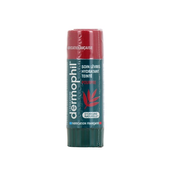 Dermophil Stick Labial Tinta Púrpura 4 gr