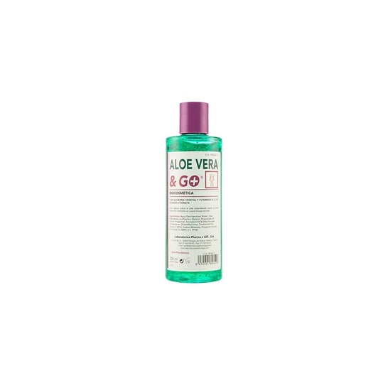 & Go Gel Aloe Vera 300 Ml