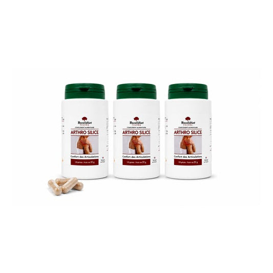 Exceldiet Pharma Arthrosilice 360 Cápsulas