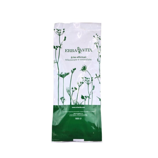Diente de León Herbavita Tt 100 g