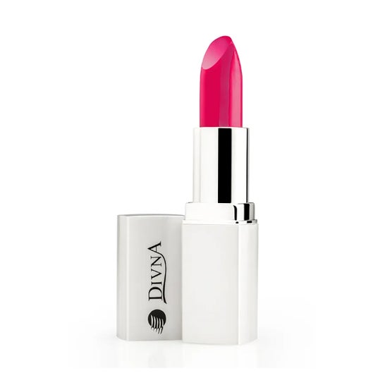 Divna Barra de Labios Nº53 1ud