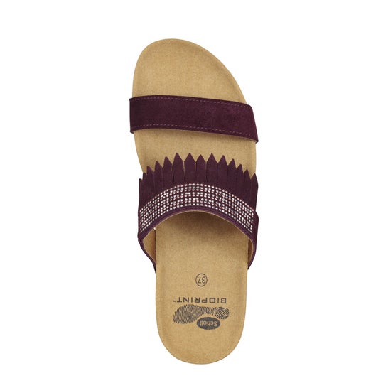 Scholl Amberly Suede + Strass Women Plum 40 1 Par