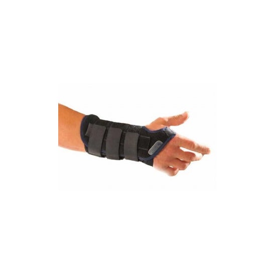 Cizeta Medical Attel Poig Perfo Ambi T1