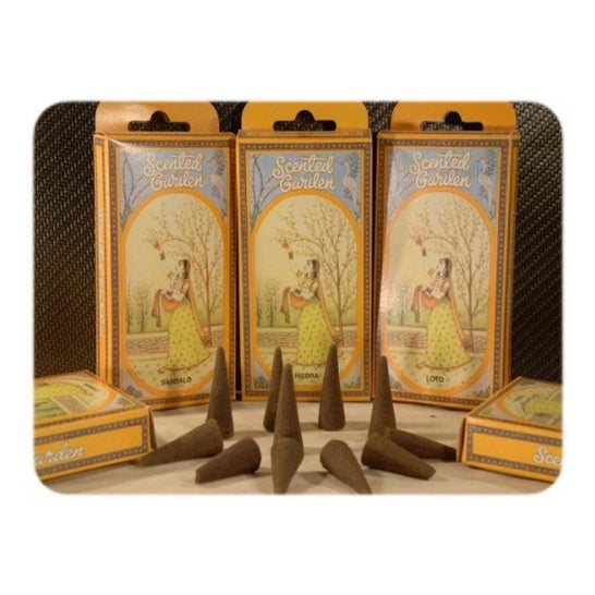 Radhe Shyam Cono Incienso Scented Garden Musk 15uds