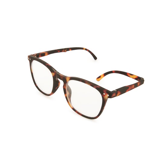 Nordic Vision Gafas Folding Computer Glasses Havana 0.0 1ud
