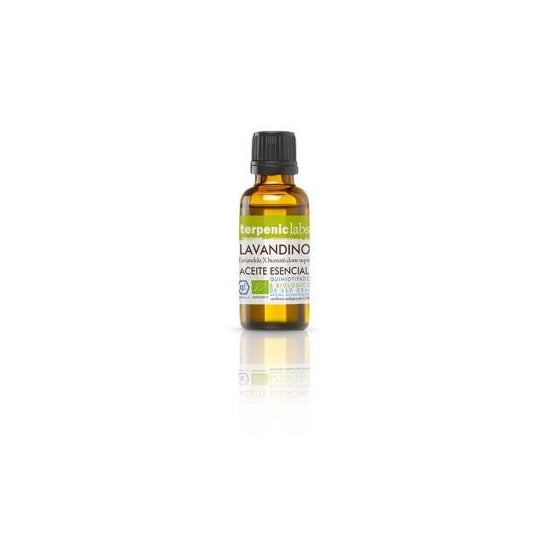 Terpenic Aceite Esencial Lavandino Bio 30 ml