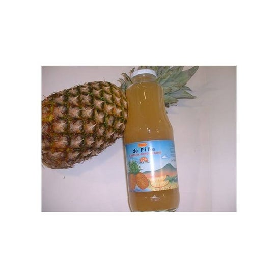 Int-Salim Zumo Piña Eco sin azúcar 200ml