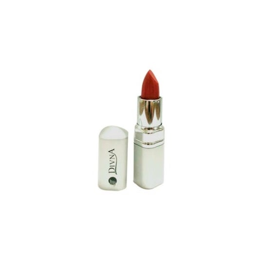 Divna Lip Gloss N10 1ud