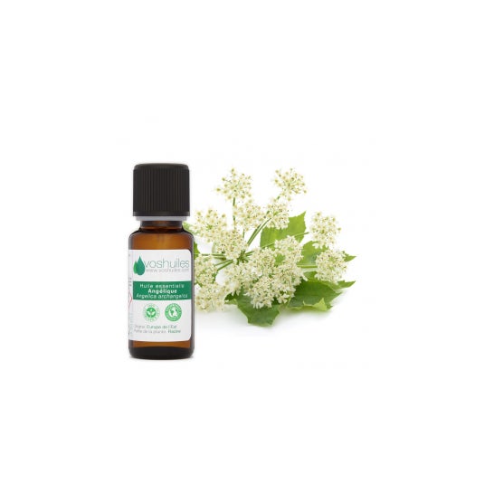 Voshuiles Aceite Esencial de Angélica 5 ml