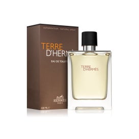 Hermes Paris Terre d'Hermes Eau de Toilette 100ml
