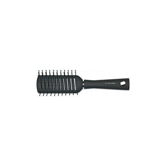 3 Claveles Cepillo Esqueleto 22 cm