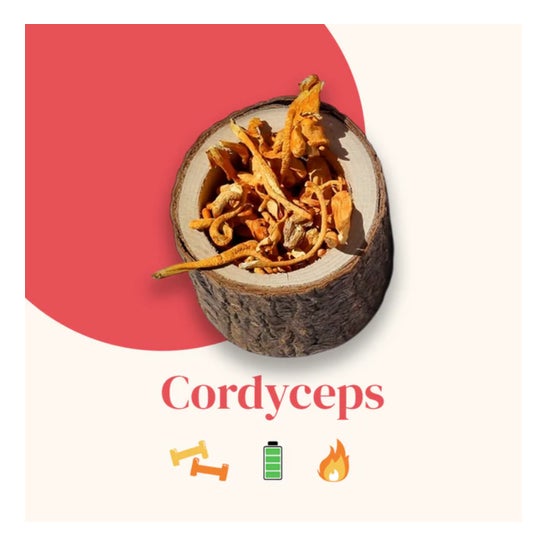 French Mush Cordyceps 56 Perlas