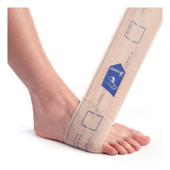 Biflex16+Silla de la Bda. Democrática 8Cmx4M
