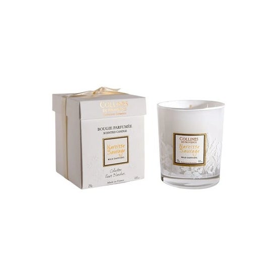 Collines de Provence Vela de Narciso Salvaje 75g