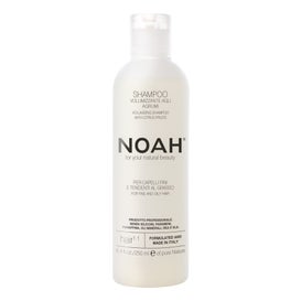 Noah Champú Voluminizador con Cítricos Hair 1.1 250ml