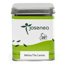 Josenea Melisa Tila Canela BIO 20 pirámides