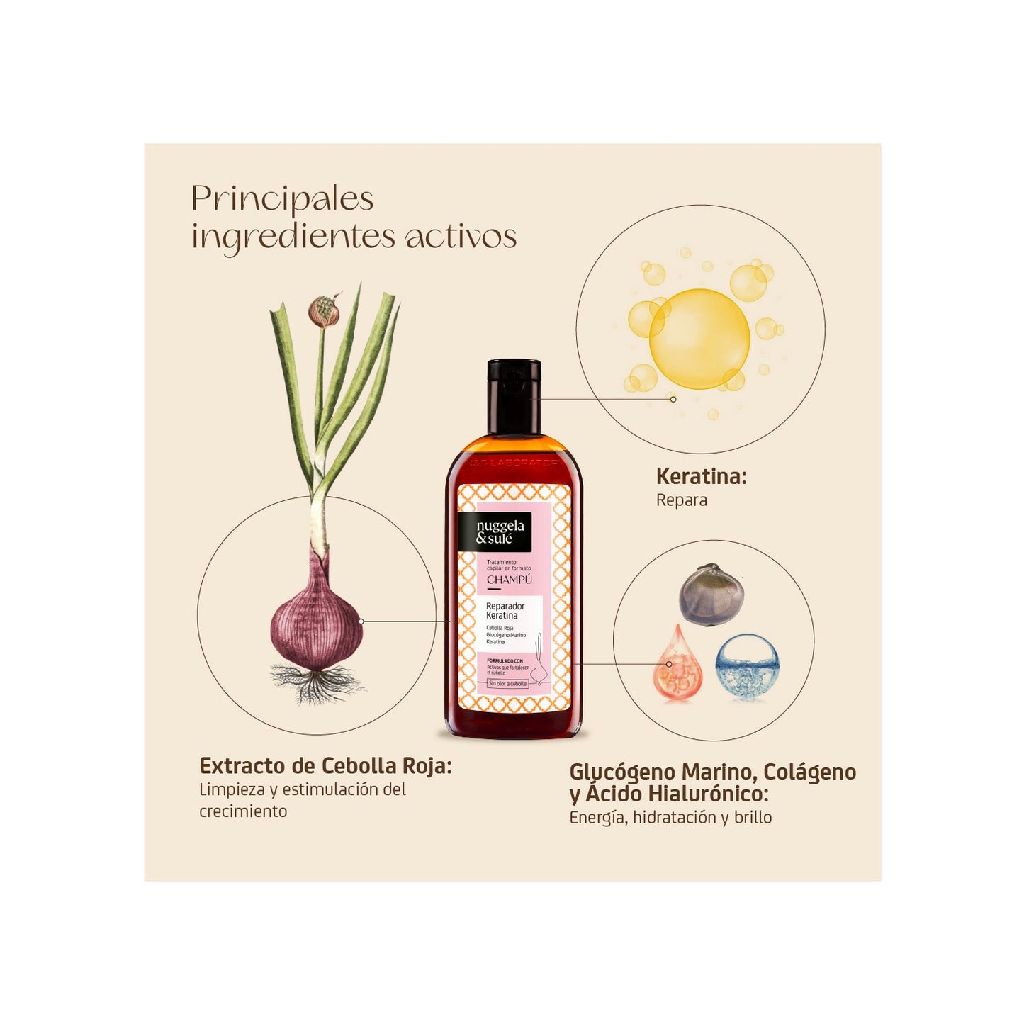 Nuggela & Sulé Champú Reparador Keratina 250ml