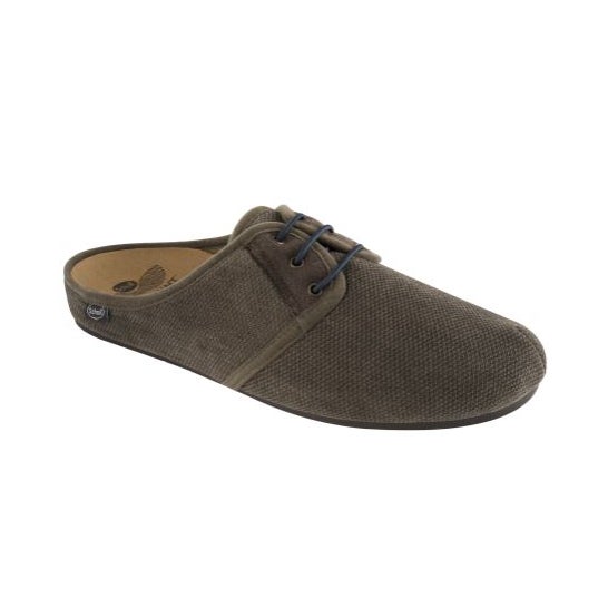 Scholl Pantufla Aronia Hombre Olive Talla 40 1 Par