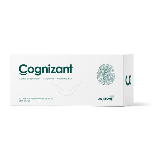 MC Stone Italia Cognizant 10 uds