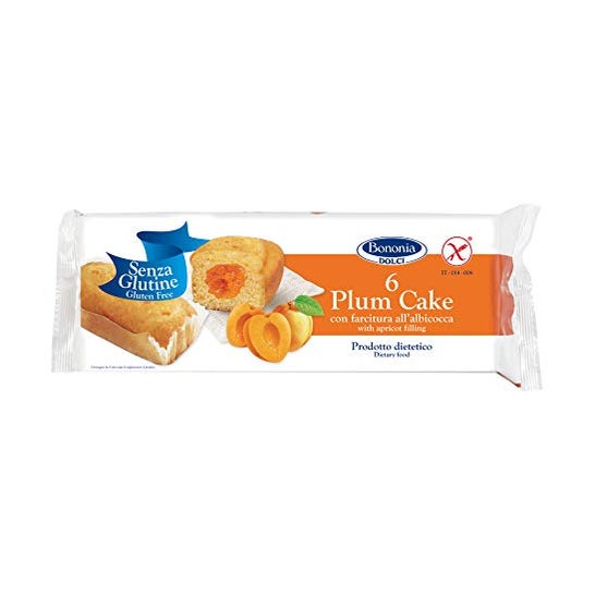Dino Bononia Plumcake Alb.6X45G