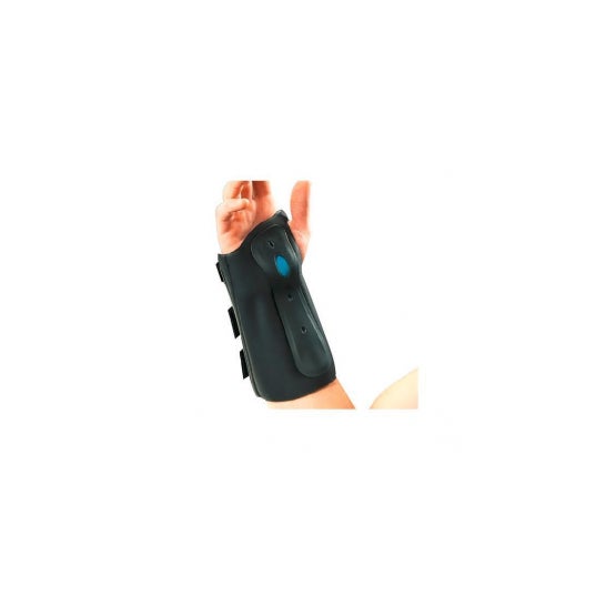 Gibaud Orth Maneja Manu Trauma G2