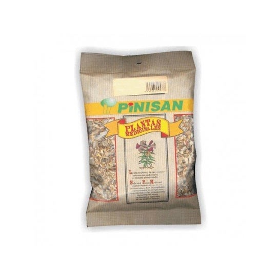 Pinisan Levistico Apio Raiz 50 g