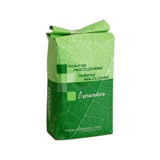 Plameca Plantas Medicinales Hoja de Romero1kg