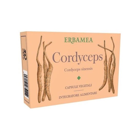Erbamea Cordyceps 24 caps