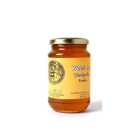 Cal Valls Miel Tomillo 500g