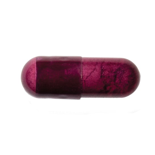 Advanced Nutrition Programme Skin Antioxidant 60 caps