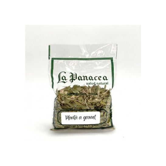 La Pastorcilla Cardo Mariano 50 g