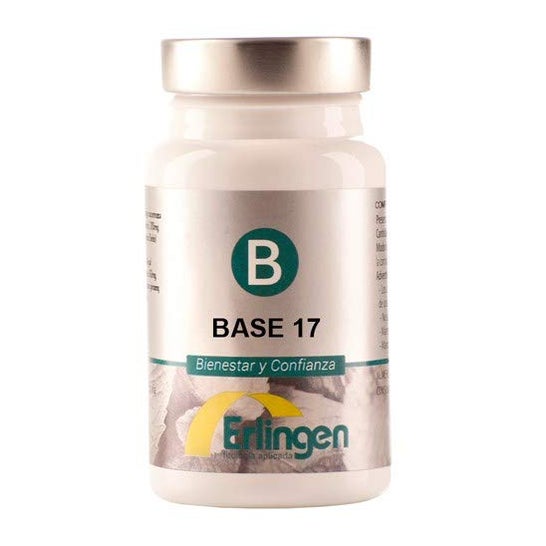 Erlingen Base 17 60 comp