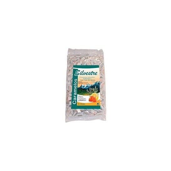 Jahisil Caramelo Surtido 2 S/az 1000 g Silvestre