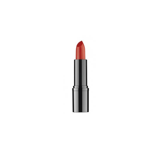 Ddp Lápiz Labial Profesional 12