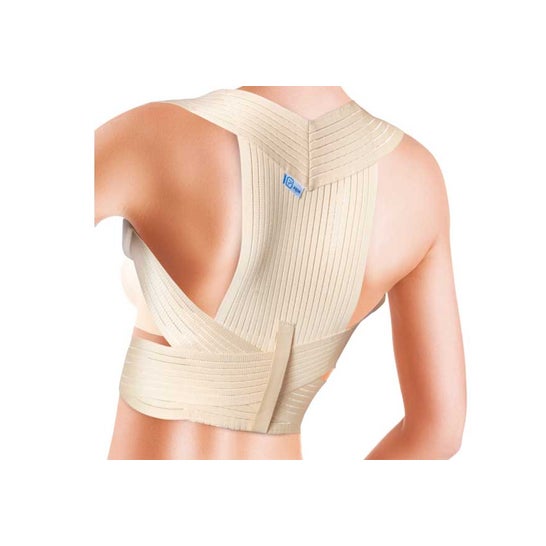Prim Espaldillera Confort 335 T L 1ud
