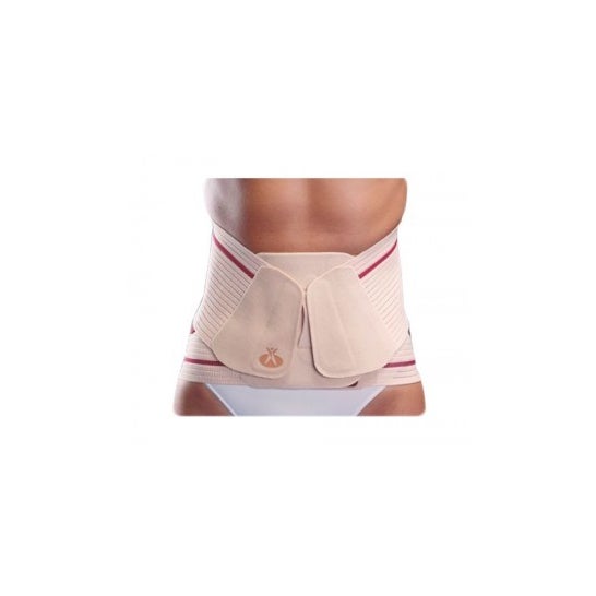 Orliman Faja Ev-200 S/3