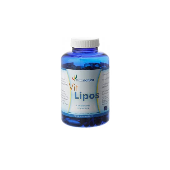 Infutisa Ginkgo Biloba 25 sobres