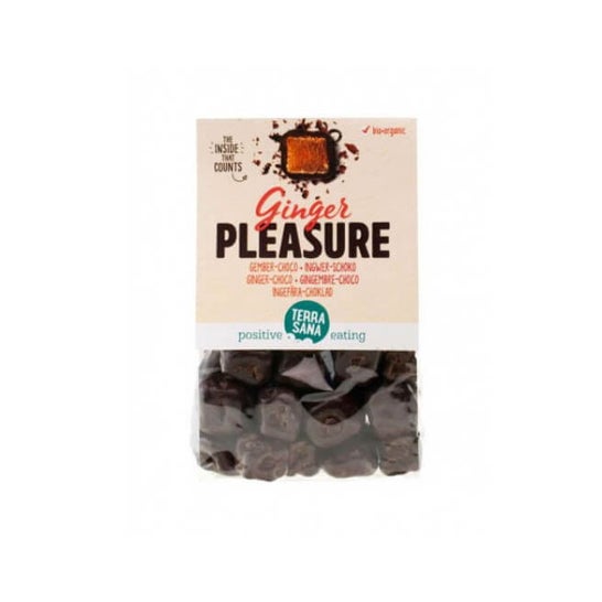 Terrasana Ginger Pleasure Jengibrechoco 150 g