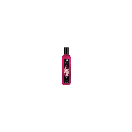 Shunga Kit Polvos Comestibles 1 ud