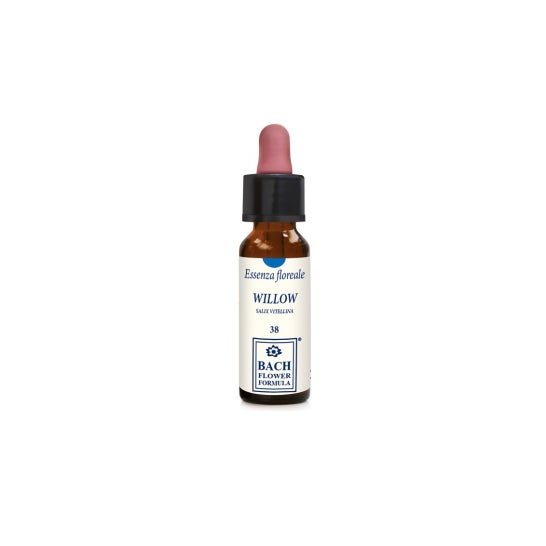 Herbavita Willow Original 10 ml Gtt