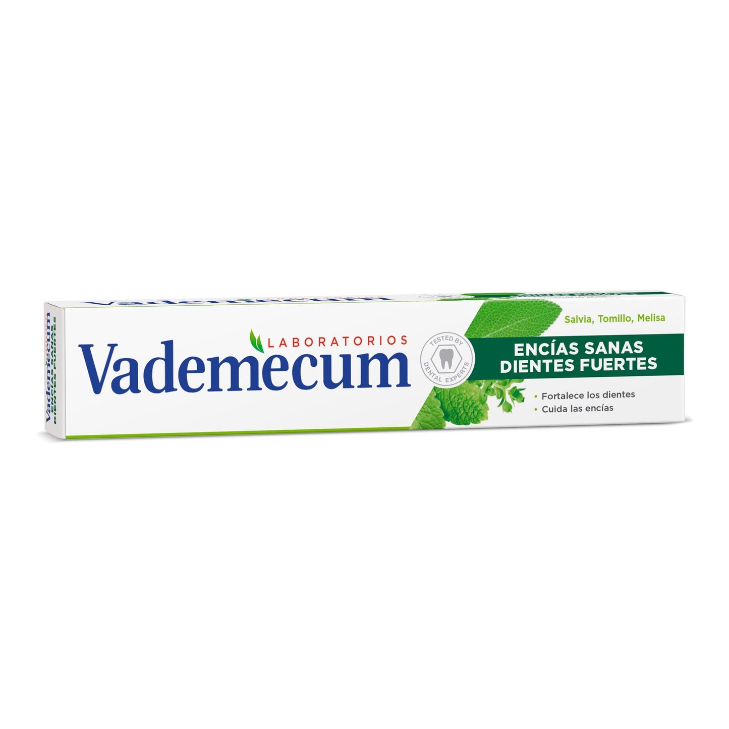 Vademecum Pasta Dental Encías Sanas y Fuertes 75ml