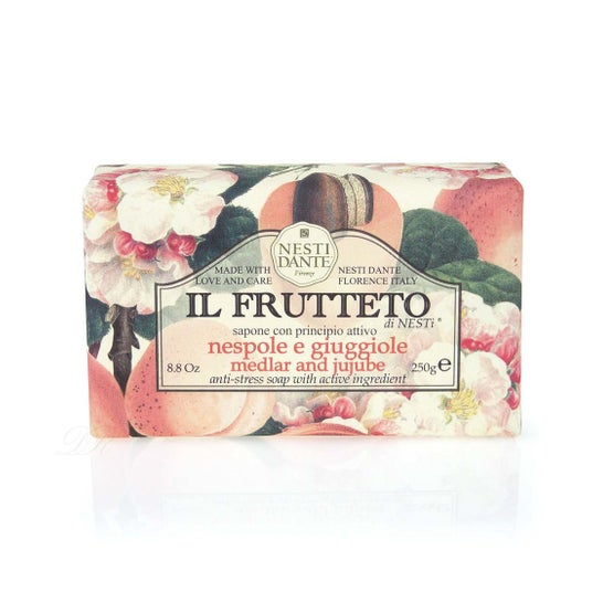 Nesti Dante Sav Il Frutrto Juj250 g