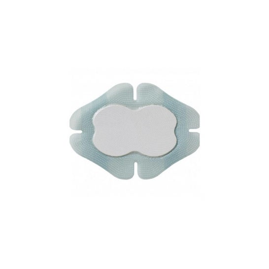 Biatain Sili Mult Pans 14 X19.5 cm 5