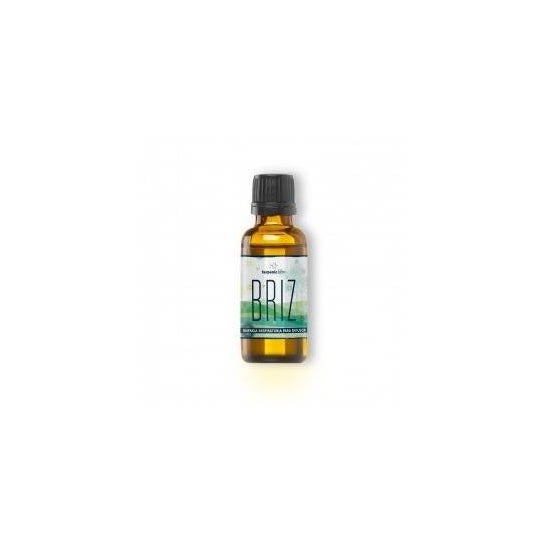 Terpenic Labs Briz Sinergía Balsámica 30 ml