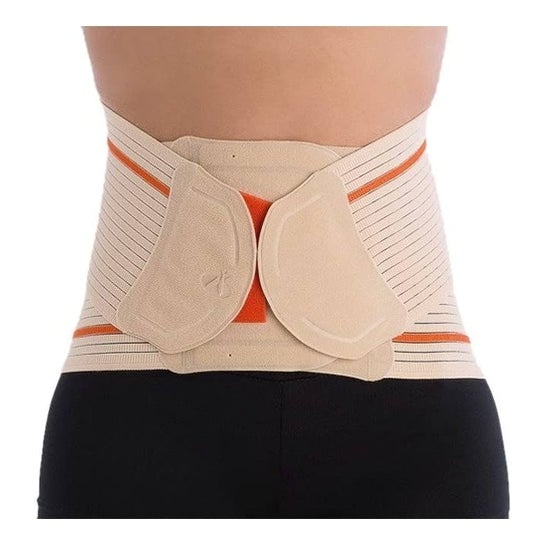 Orliman Faja Ev-200 Xxl/7