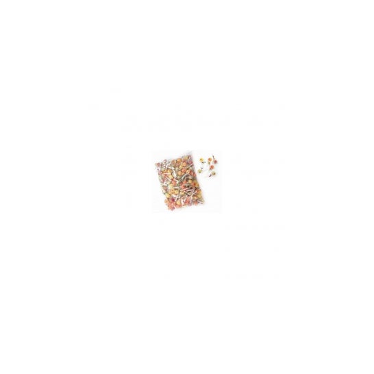 Gerio Mini Pops Caramelo Palo 1000 g
