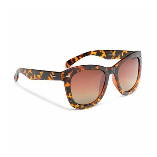 Loring Gafas Sol Margot 1ud