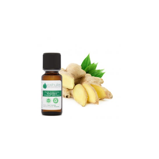 Voshuiles Aceite Esencial de Jengibre 10ml