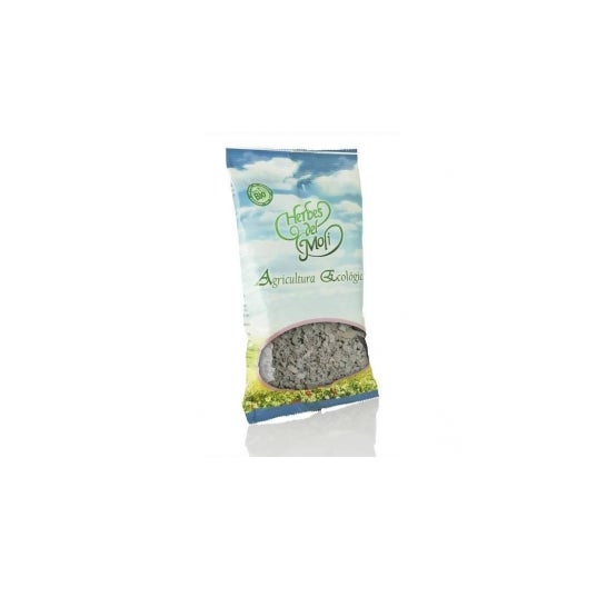 Gordolobo En Planta 10 Gr